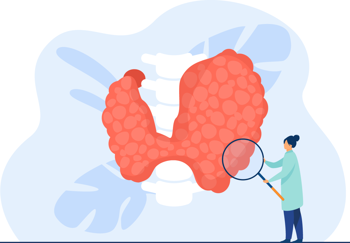 Imagen del servicio de Endocrinologia