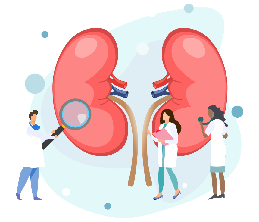 Imagen del servicio de urologia