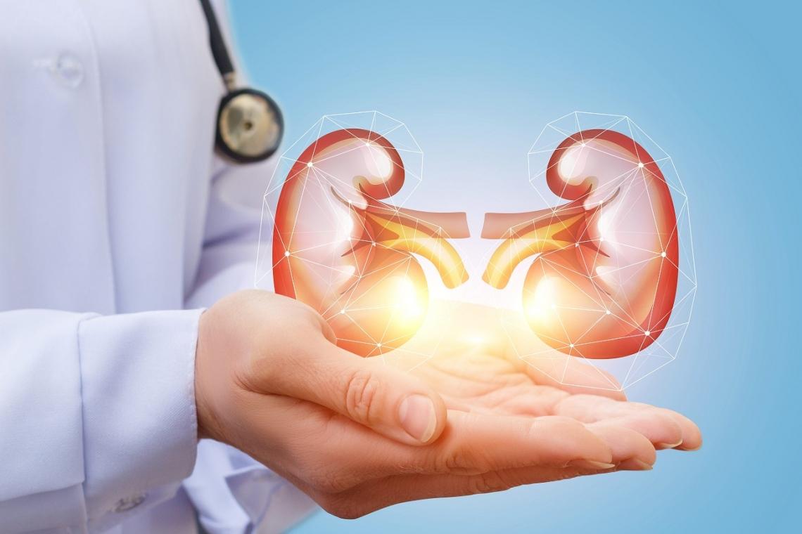 urologia imagen 02